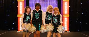 poms3