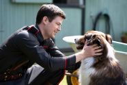 Netflixable Seen Dog Don t Miss Rescued By Ruby Movie Nation